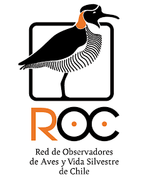 ROC ROC